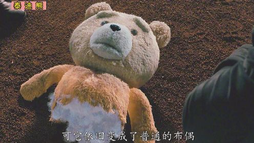 搞笑真人熊电影，脑子秀逗的熊，小熊寻亲记
