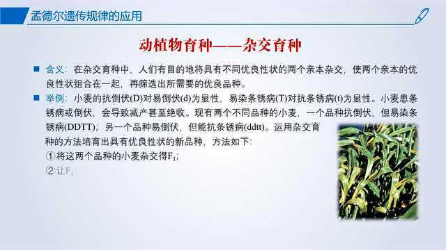 【课件分享】2019人教版高中生物必修2第1章、第2章汇总