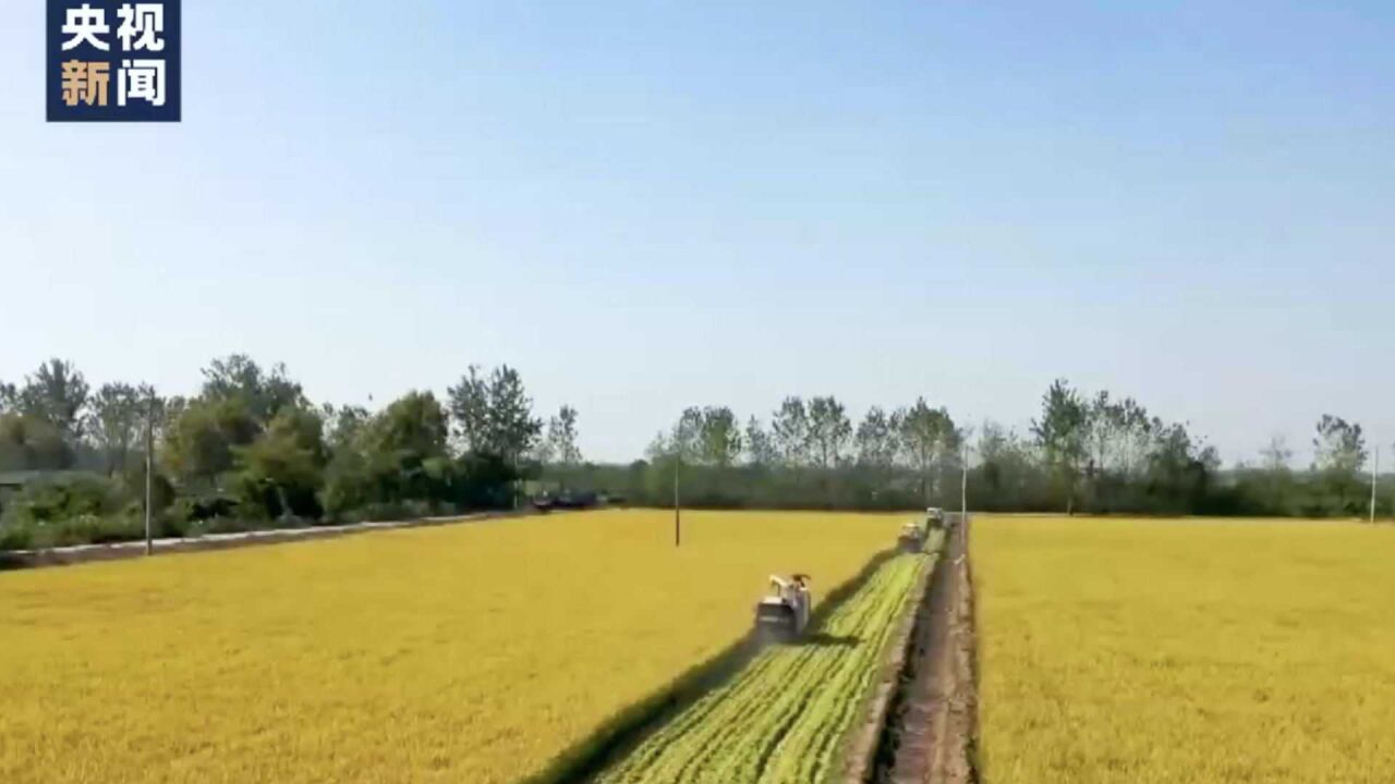 粮食安全是“国之大者”_高清