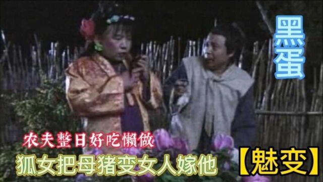 农夫又懒又好色,小狐仙为整治他,把母猪变成女人嫁给他