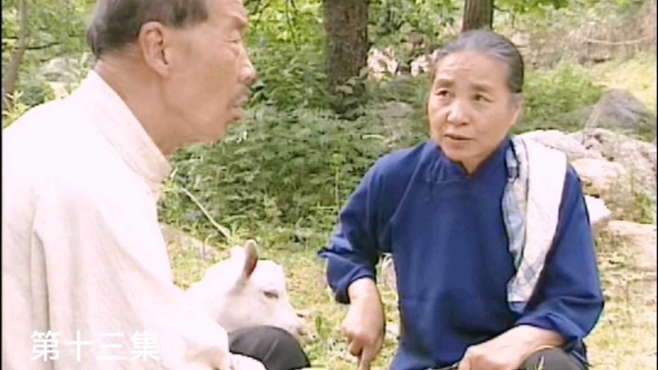儿媳给公公介绍老伴公公能同意吗_高清1080P在线观看平台_腾讯视频