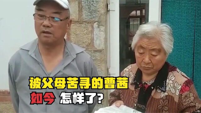 17年前,出国留学后忘本,被父母苦寻的曹茜,如今怎样了?