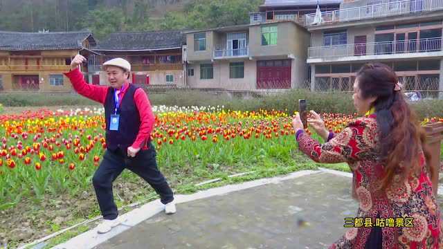 拍照“最美背景墙”!黔南这些花海上线,周末打卡去