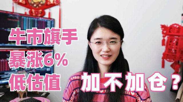 牛市旗手暴涨6%,A股百点长阳中概股飙涨,大好局面能加仓吗?