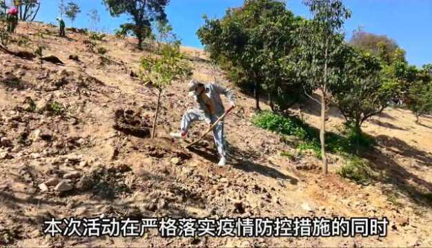 【粤直击】樟科珍稀植物“安家”东莞,园林工程师讲述惊险引种经历