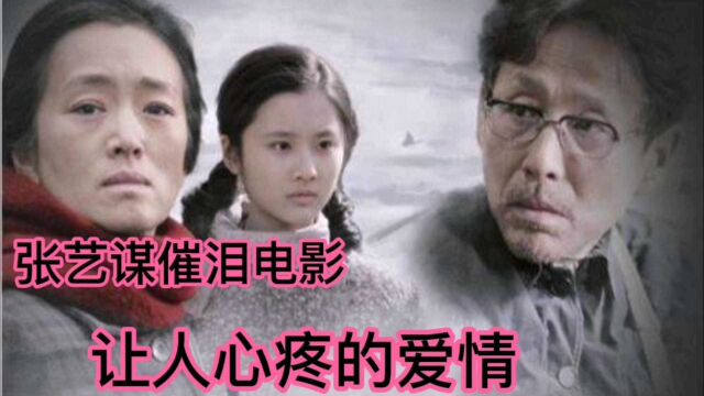 张艺谋导演高分巨作,让人看一次哭一次的电影