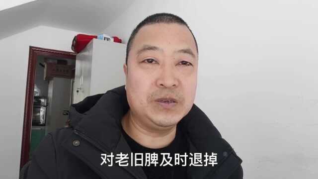 如何养好中蜂?掌握十大要点,养好蜜蜂就不难