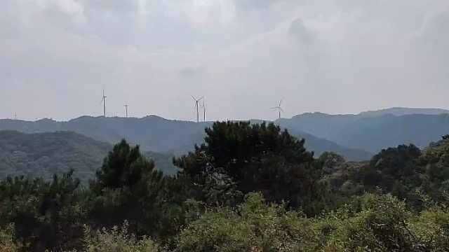 阳泉翠枫山这里春天桃红李白;夏季绿野凝翠