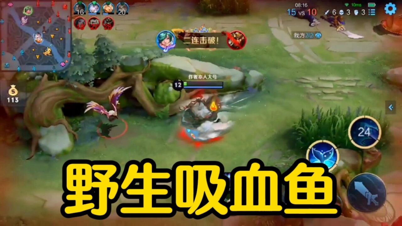 【野生吸血鱼】细节出装,庄周打野,你值得拥有!