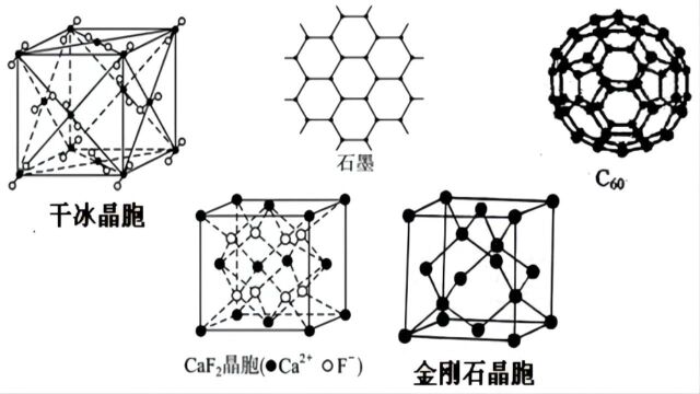 2022春 每周一题06 知易行难 选必二真题分享