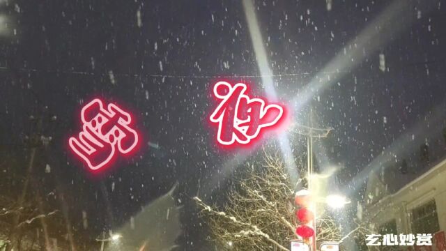 雪夜(拥抱每一种生活)