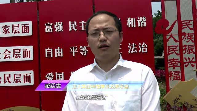 遂溪县领导到河头镇调研乡村振兴和文旅产业融合发展以及学校疫情防控工作