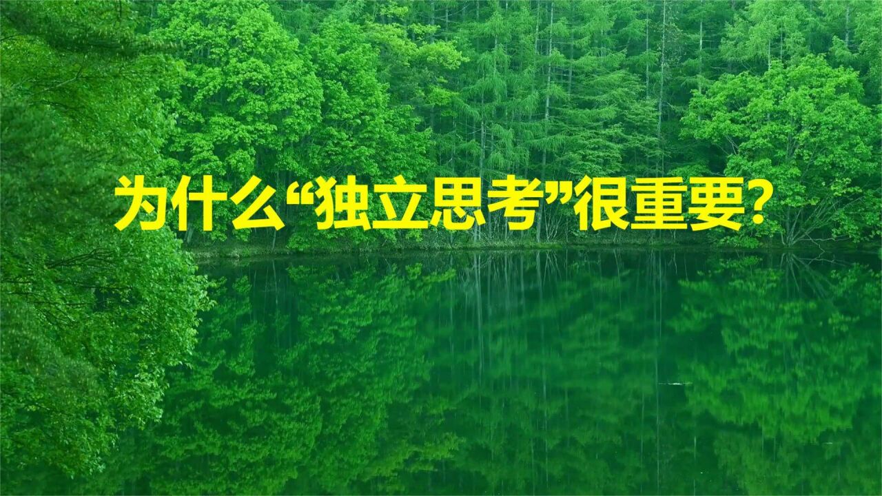 为什么"独立思考"很重要?
