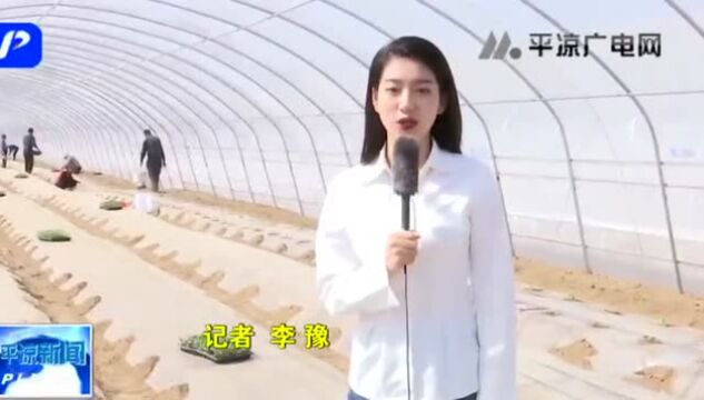 泾川:念好产业“致富经”孕育丰收新希望泾川县融媒体中心 泾川融媒 20220411 17:20