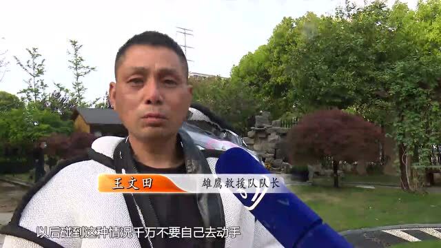 宝应有居民电话求助!家里来了“不速之客”