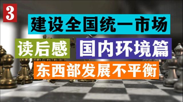 加快建设全国统一大市场 读后感—宏观国内环境篇(3)东西部发展不平衡