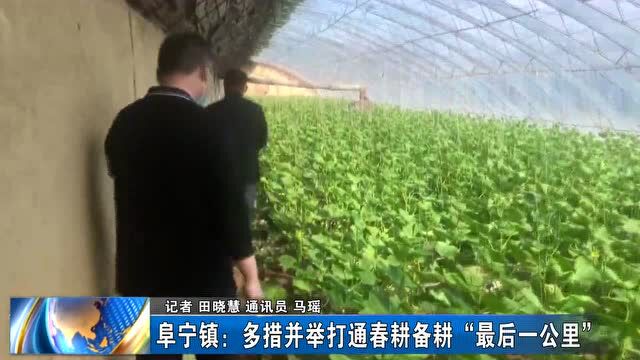 【提升能力 转变作风 加快推进现代化绥芬河建设】阜宁镇:多措并举打通春耕备耕“最后一公里”