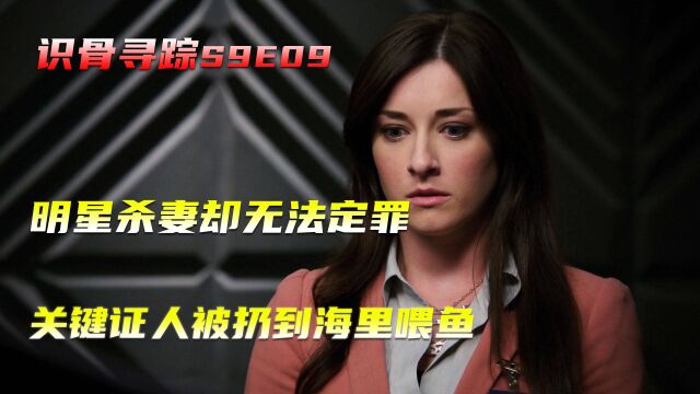 明星杀妻却无法定罪,关键证人被扔到海里喂鱼,美剧《识骨寻踪》