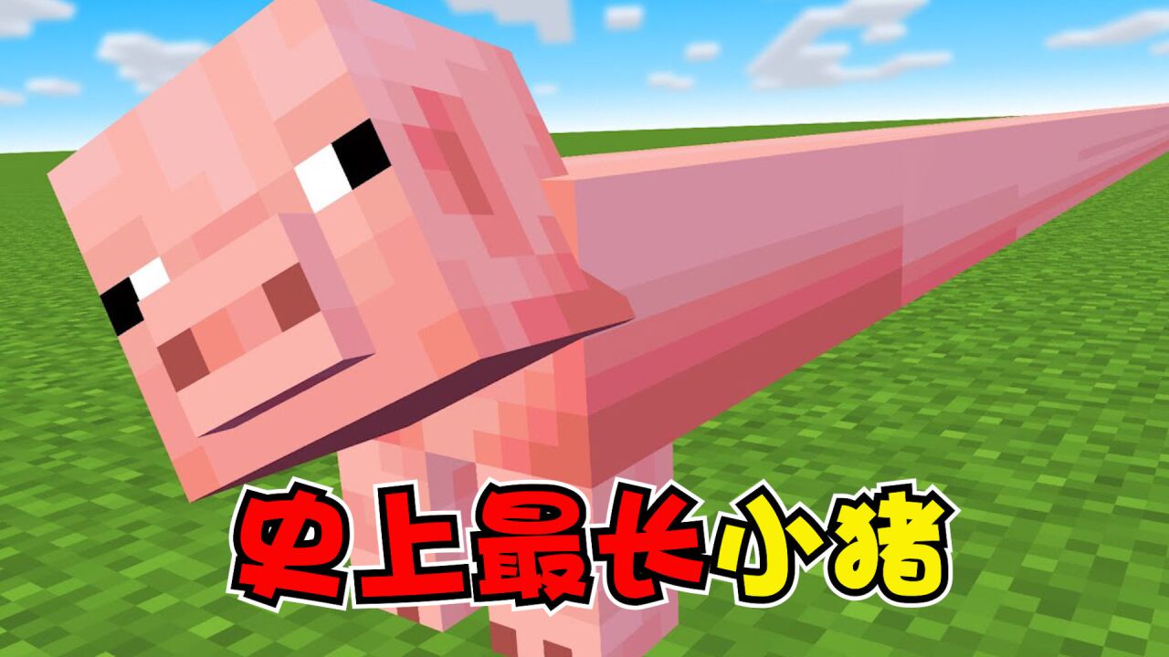 我的世界:mc生物变长模组,史上最长小猪