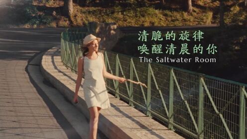 [图]清新的电子乐《The Saltwater Room》：清脆的旋律，唤醒清晨的你