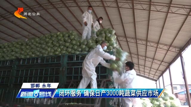 邯郸永年:“闭环服务”确保日产3000吨蔬菜供应市场