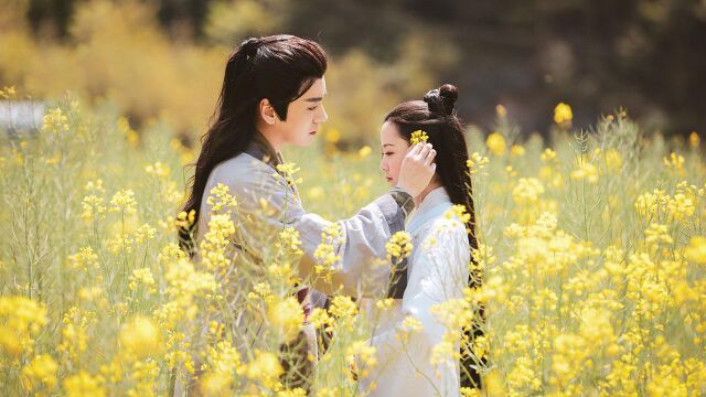 《桃花缘起》定档5月5日,魏哲鸣携手天族圣女上演双世虐恋 peach