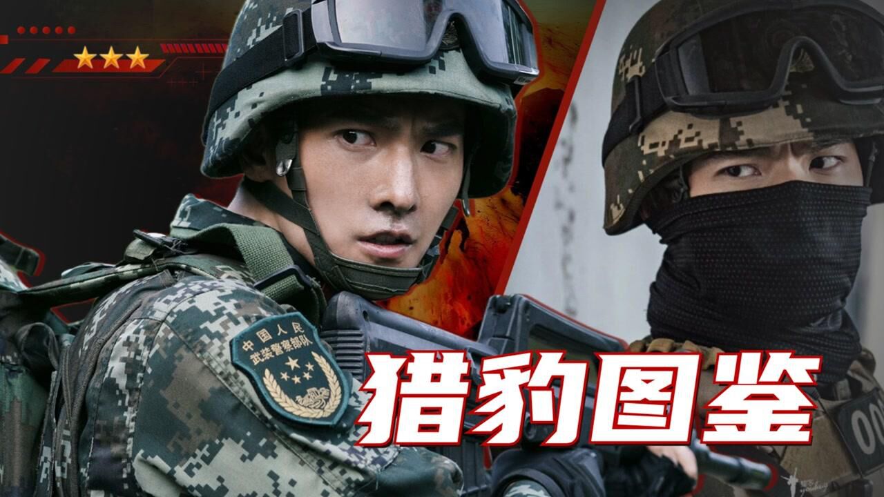 《特战荣耀》猎豹突击队高燃混剪,青春无悔!