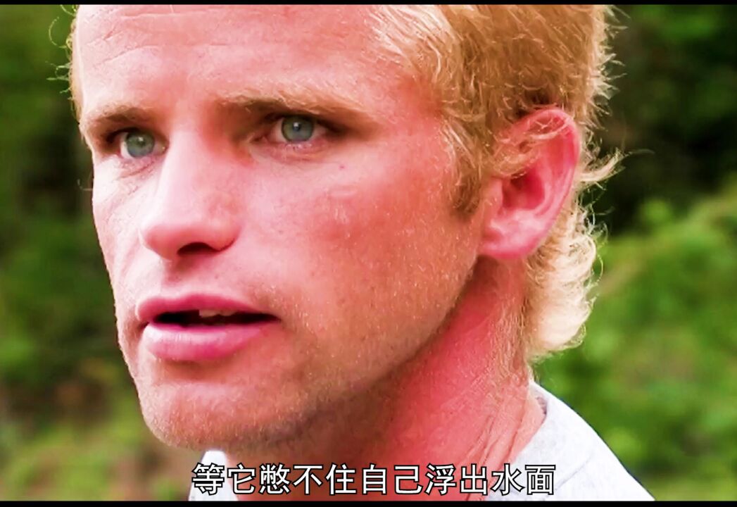 纪录片-沼泽猎手(2)鳄鱼怎么也想不到,食物链顶端的它还能有今天_腾讯