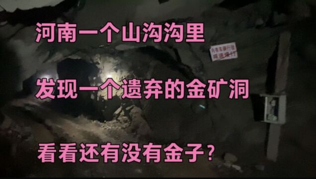 河南一个山沟沟里,发现几座废弃的金矿洞,来看看还有没有金子?#虎力全开闹看点