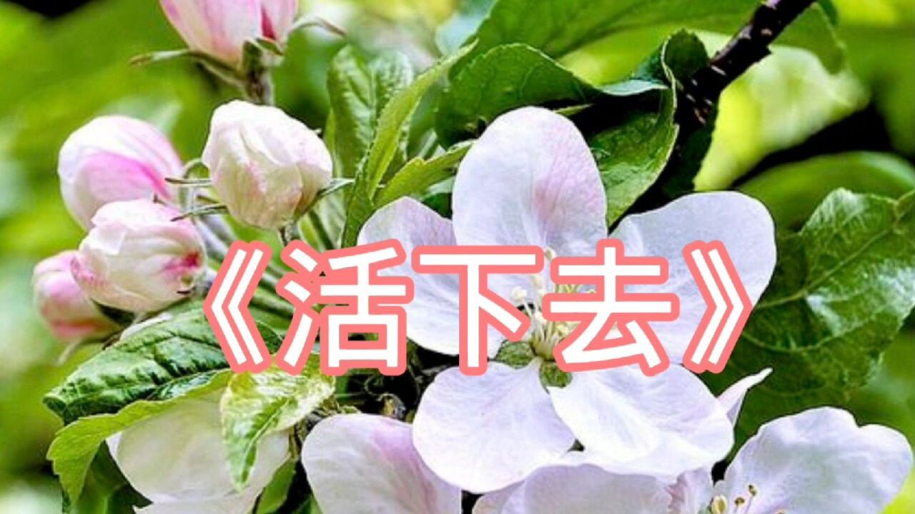 经典散文朗读《活下去》,作者贾平凹