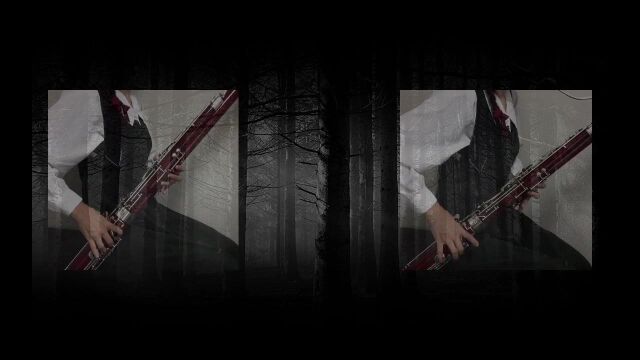 ハウルの动く城メドレー【fagottobassoon cover】Howl's Moving Castle Medley