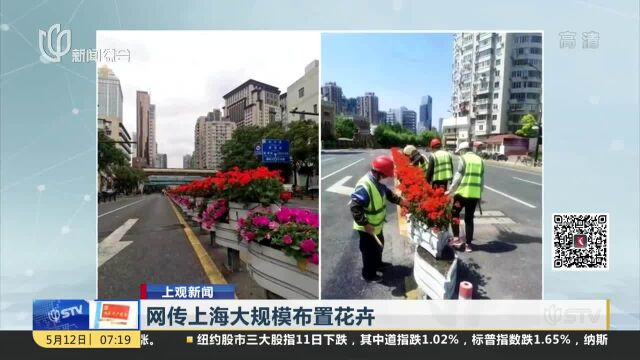 网传上海大规模布置花卉 绿化部门回应:根据实际情况养护 已延迟约一个月