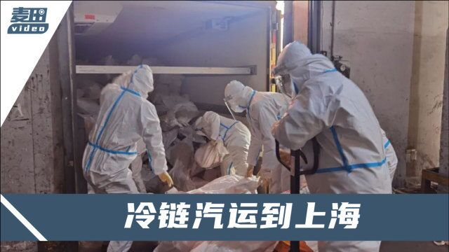 新疆捐献上海宝山的羊肉去哪儿了?官方回应来了