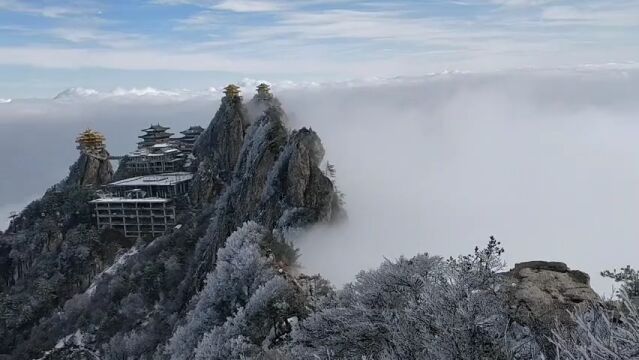 户外的风景 (109)