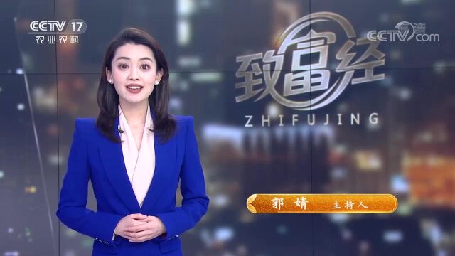 在安吉春笋很常见,冬笋因采挖难度大,产量很低