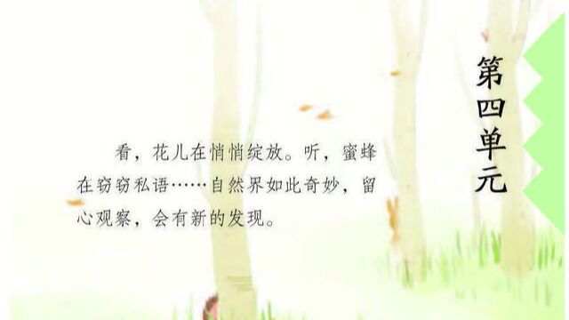 《探秘花钟学概括》教学实录