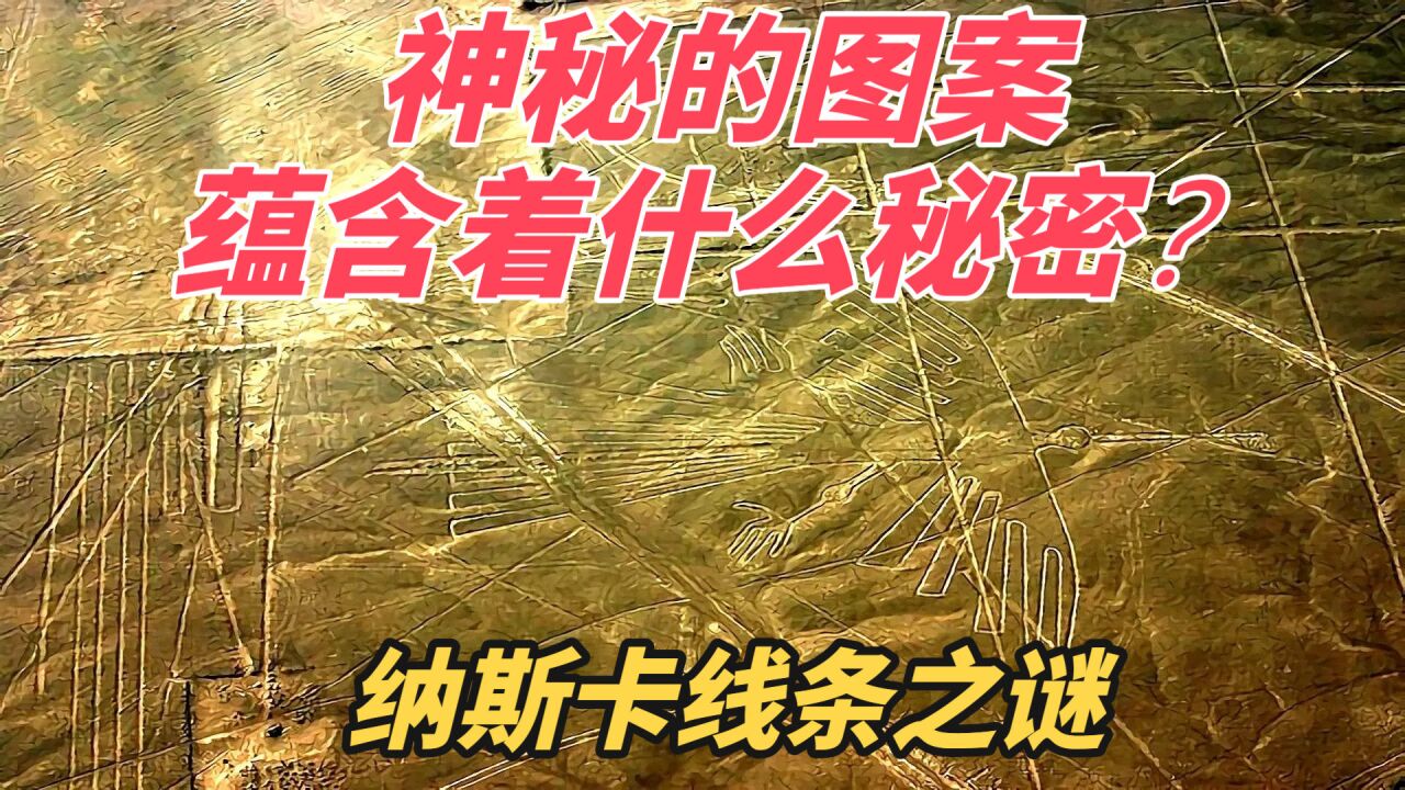 纳斯卡线条之谜 神秘的图案蕴含着什么奥秘?