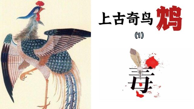 上古奇鸟鸩存在吗?山海经令人混淆的记载你知道吗?