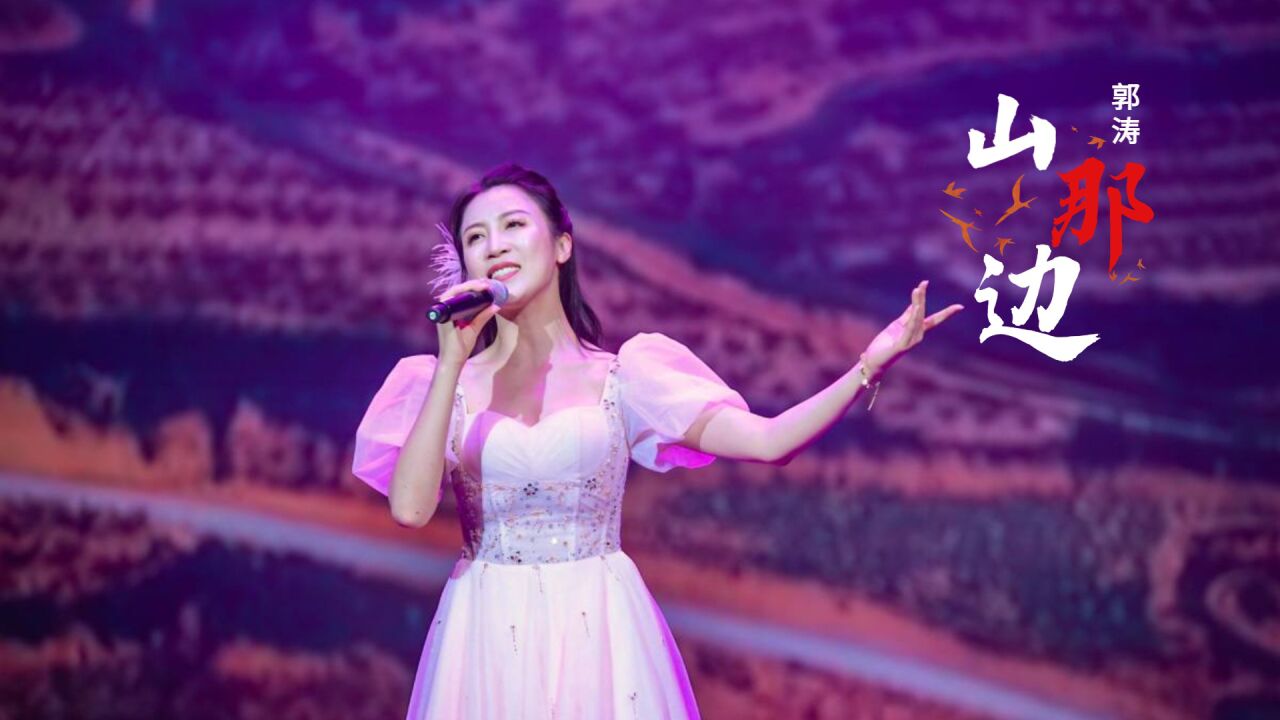 唱响东方红放歌新时代陕北民歌展演歌曲山那边演唱郭涛