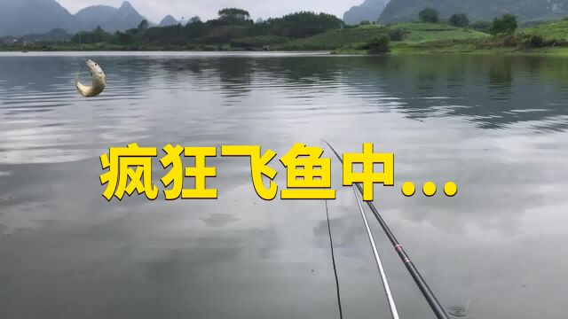 一个字“爽”,两个字“真爽”,三个字“非常的爽”