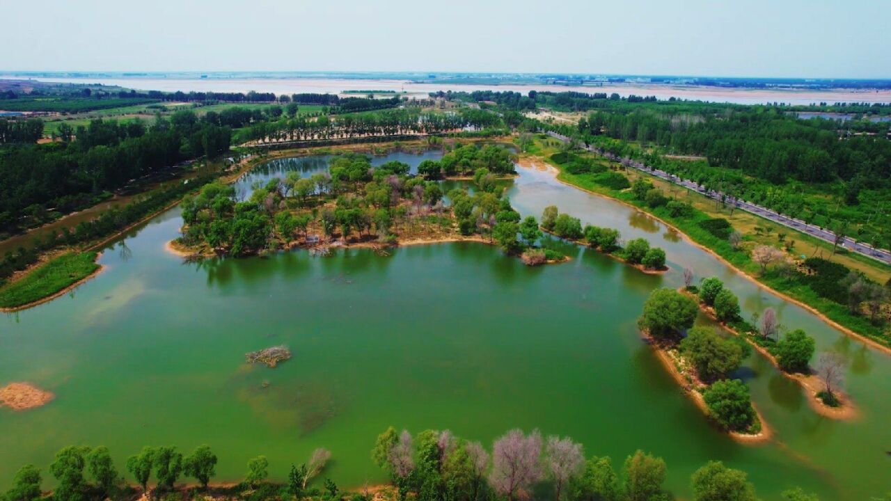 实拍郑州黄河大堤湿地公园号称"郑州的千岛湖"