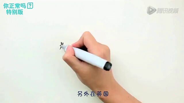 为什么还要循规蹈矩呢 快递