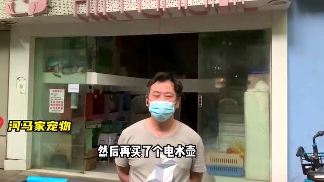 老北京在上海送外卖,跟他一起看上海的“妖泥角落头”