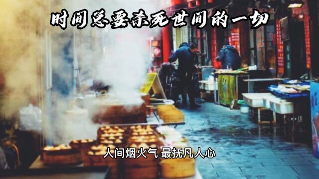 人世间,酸甜苦辣,若长良川.凉南北《烟火流年》