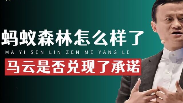 还记得几亿人在蚂蚁森林种的树吗?6年过去,马云是否兑现了承诺