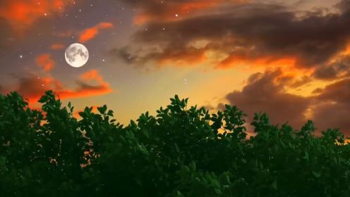 班得瑞一首催眠曲《月神》，一起享受月亮的美景