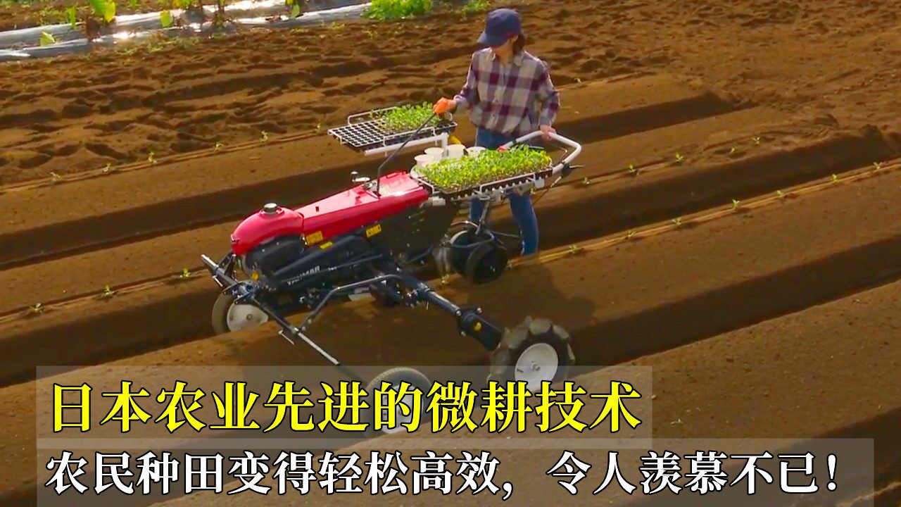 日本农业先进的微耕技术,农民种田变得轻松高效,令人羡慕不已!