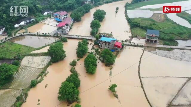 视频丨暴雨来袭 湘乡市各级各部门迅速响应组织防汛救灾