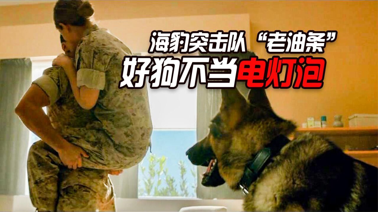 狗王军犬欺负呆萌新兵,却反被女兵拿捏,最终一人一狗横扫战场_腾讯视频