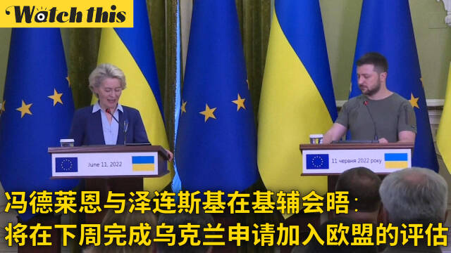 冯德莱恩与泽连斯基在基辅会晤将在下周完成乌克兰申请加入欧盟的评估